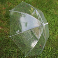 Transparent Umbrella With customized logo- Hot Popular In Rainy
